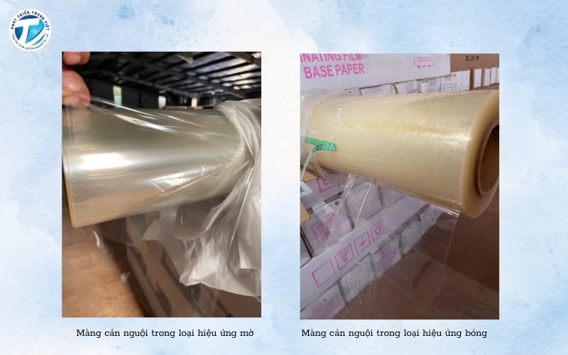 Mẫu sản phẩm màng cán trong hiệu ứng bóng/mờ